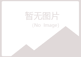 上海埋没音乐有限公司